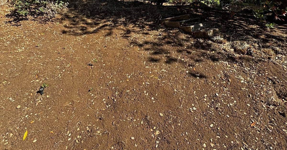 Same backyard cleared to bare soil